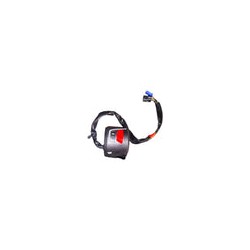 INTERRUPTOR MANDO DERECHO N-250