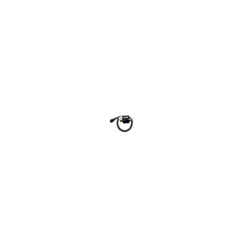 BOBINA ENCENDIDO DERECHO PULSAR AS200