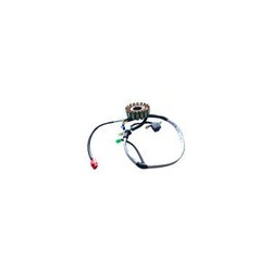 ESTATOR 18 BOBINAS NS200 FI
