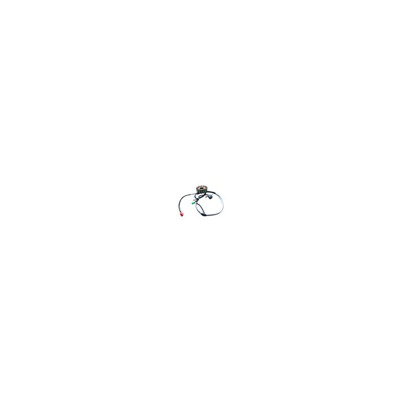 ESTATOR 18 BOBINAS NS200 FI