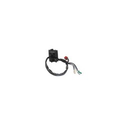 INTERRUPTOR LUCES IZQUIERDO DOMINAR 400