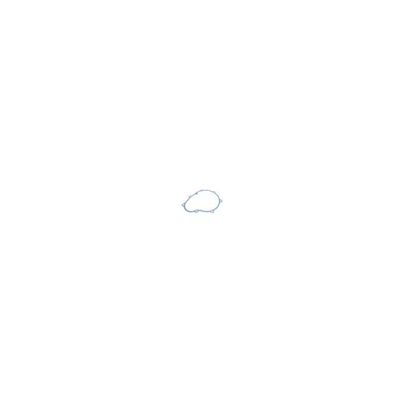 JUNTA MAGNETO PULSAR NS160