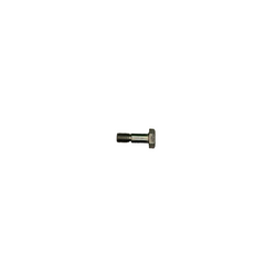 TORNILLO PARADOR LATERAL  AVENGER 220