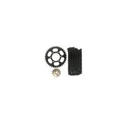 KIT CADENA 14/36 110L AVENGER 220
