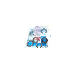 KIT TAZAS Y BALEROS PULSAR 200NS/PULSAR N-250/AVENGER 220/DOMINAR 400