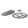 KIT CADENA PLATINA 100