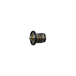 TERMOSTATO PULSAR 200NS